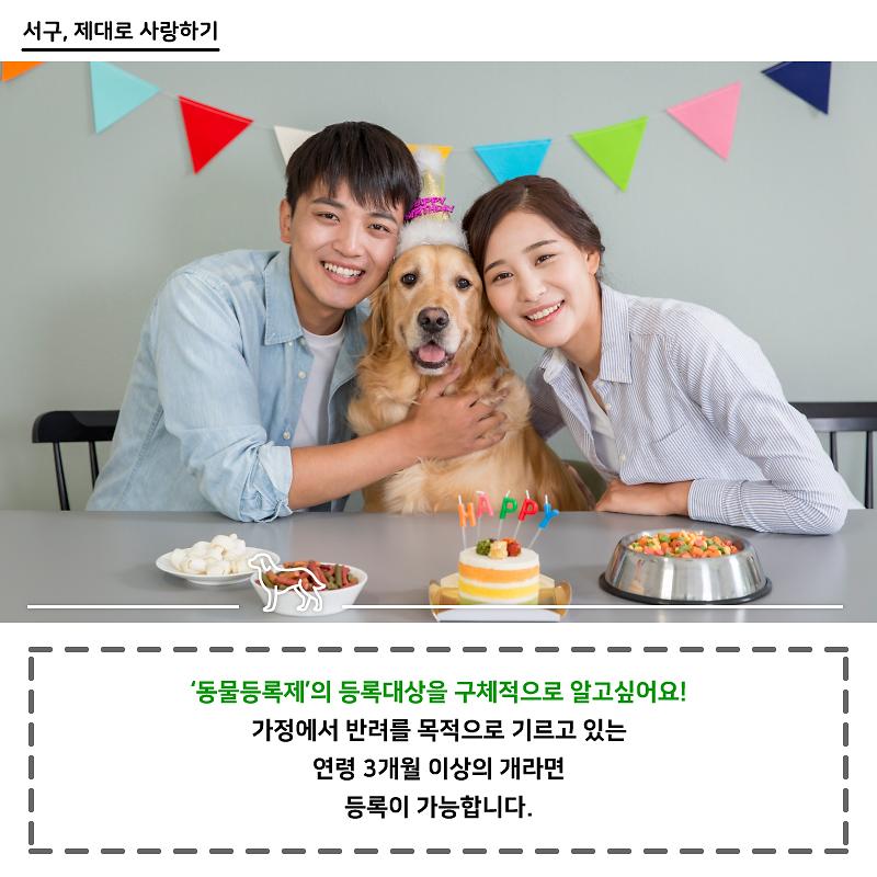 화_서구-제대로사랑하기-01_30_3.jpg