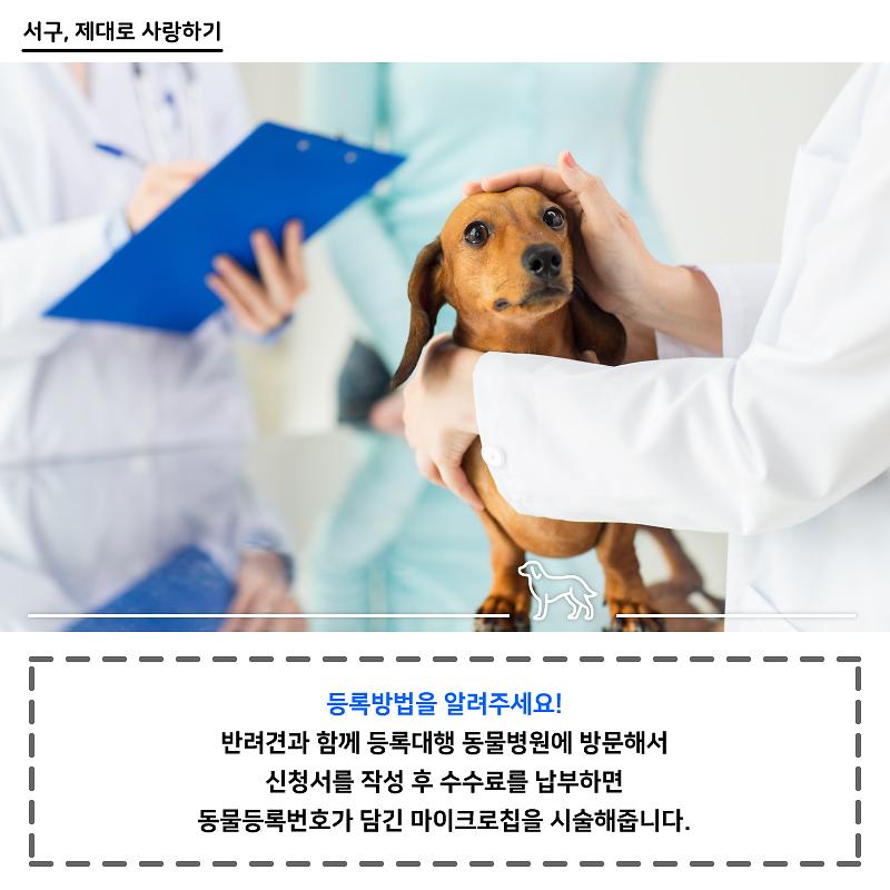 화_서구-제대로사랑하기-01_30_4.jpg