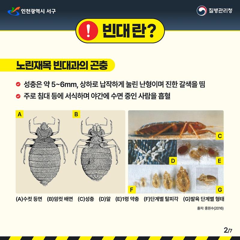 빈대_예방_카드뉴스.pdf_page_2.jpg