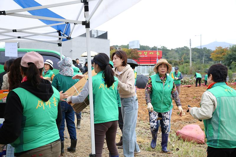 2024.10.18._서구새마을회_사랑의_고구마_수확_행사_(2).jpg 이미지