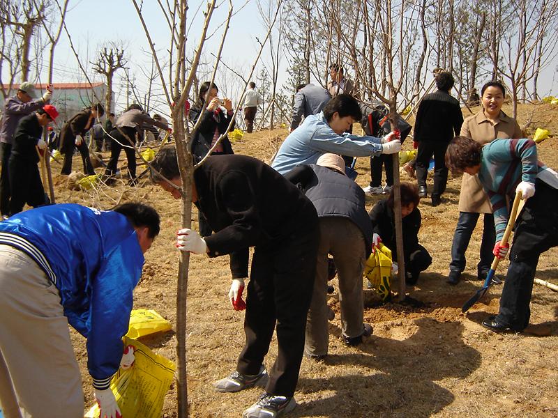 식목행사 사진