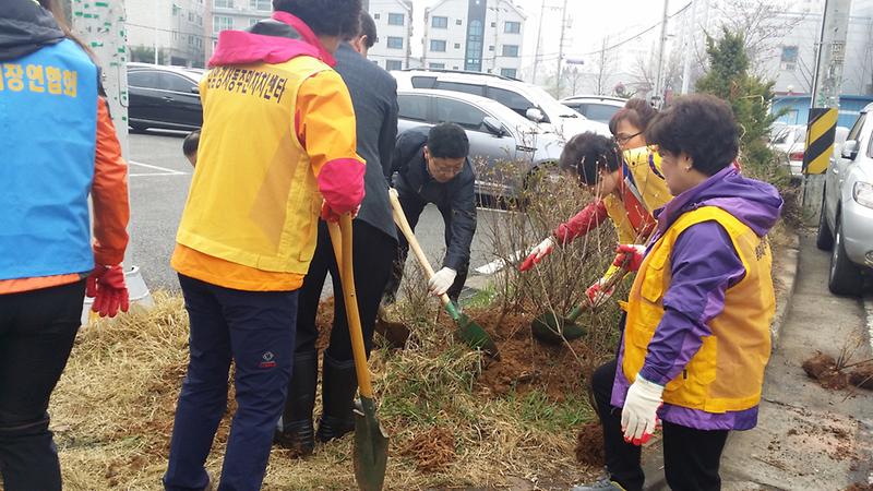 2015.4.3일 식목행사[검암경서동 주민자치위원회] 사진