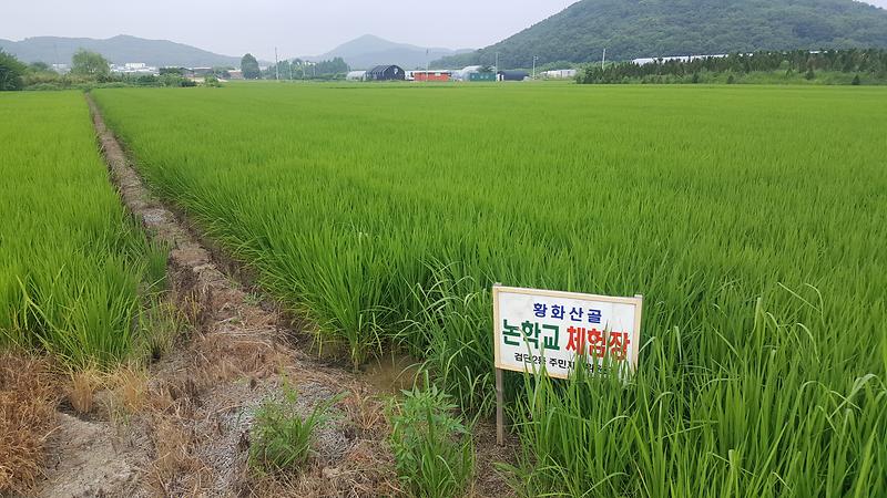 2018년 황화산골 논학교 3차시 수업 사진