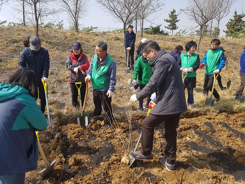 검암경서동 제74회 식목일 나무심기 행사 참여 사진
