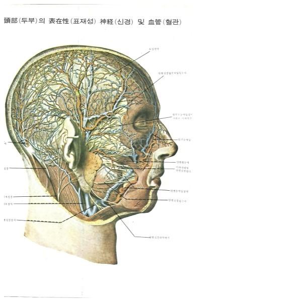 RH7XFP2N.jpg 이미지