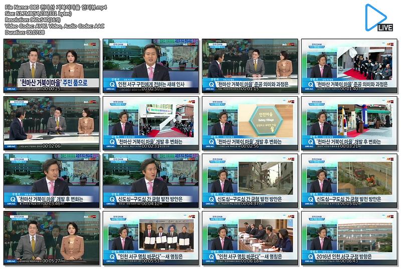 OBS 전격 인터뷰 - 강범석 인천 서구청장 [천마산 거북이 마을] 사진