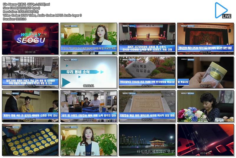 위클리 서구뉴스(29회) 사진