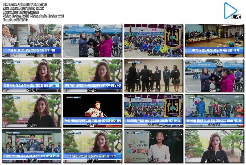 위클리 서구뉴스(24회) 사진
