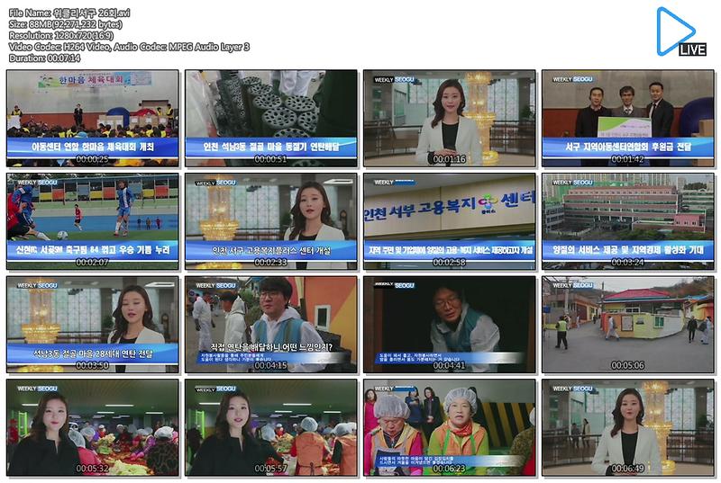 위클리 서구뉴스(26회) 사진