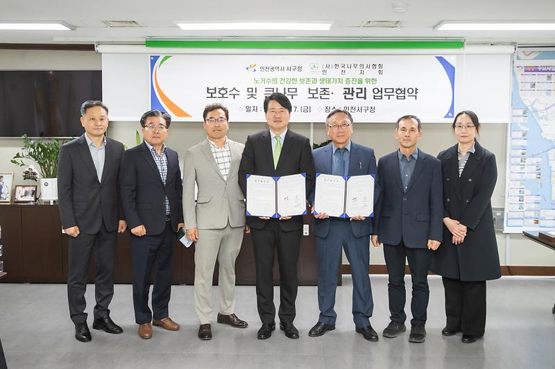 [4/20 보도] 인천 서구, 인천 최초 보호수 및 큰나무 보존·관리 업무협약 체결... 전문협력으로 관리 강화 사진