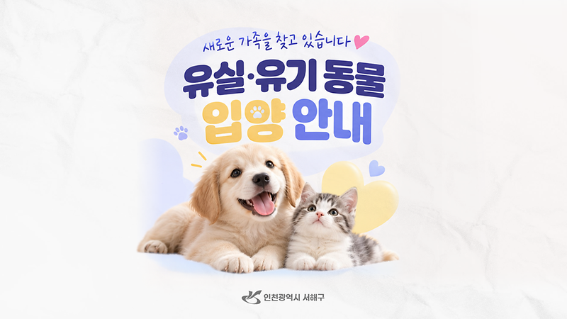 서해구 유실·유기 동물입양 안내 사진