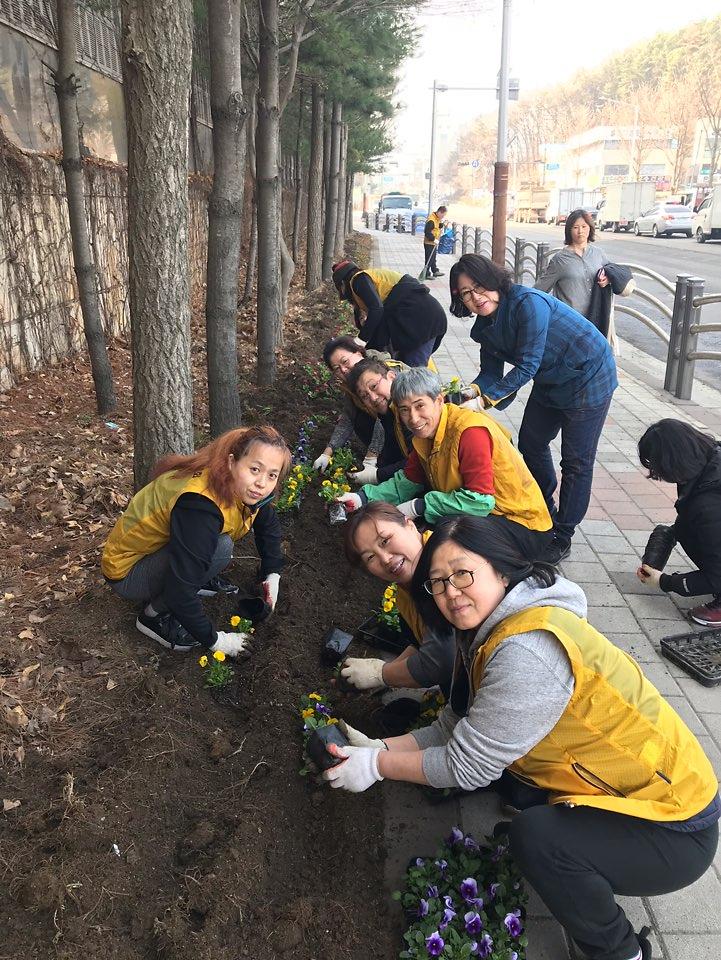 5불로대곡동,_새봄맞이_봄_초화_식재.jpg 이미지