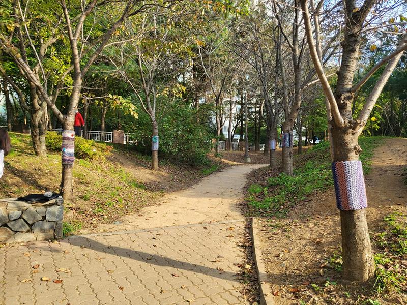 10검단노인복지관_경륜전수형_일자리_사업,_가로수에_온정_담는_‘그래피티_니팅’__(2).jpg 이미지