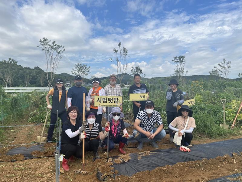 6“‘도시농업_활동’으로_일상에_활력”_당하동,_‘도시농부’_프로그램_운영__(1).jpg 이미지