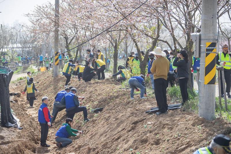 1서구자원봉사센터,_‘도심_속_나무심기’···공촌천에_1만_3천_그루_심어__(3).jpg 이미지