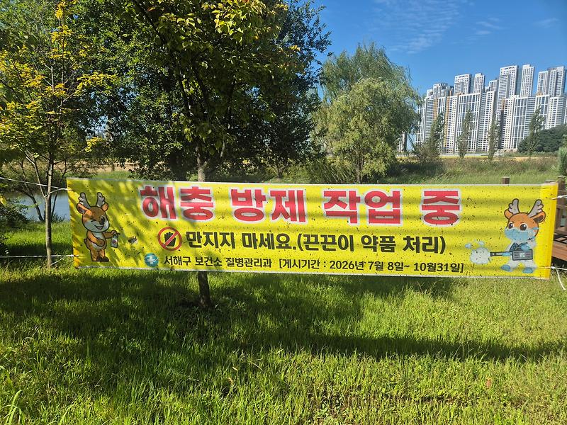 2._서해구,_‘현수막으로_모기_잡는다’_모기_많은_곳에_끈끈이_현수막_설치.jpg 이미지