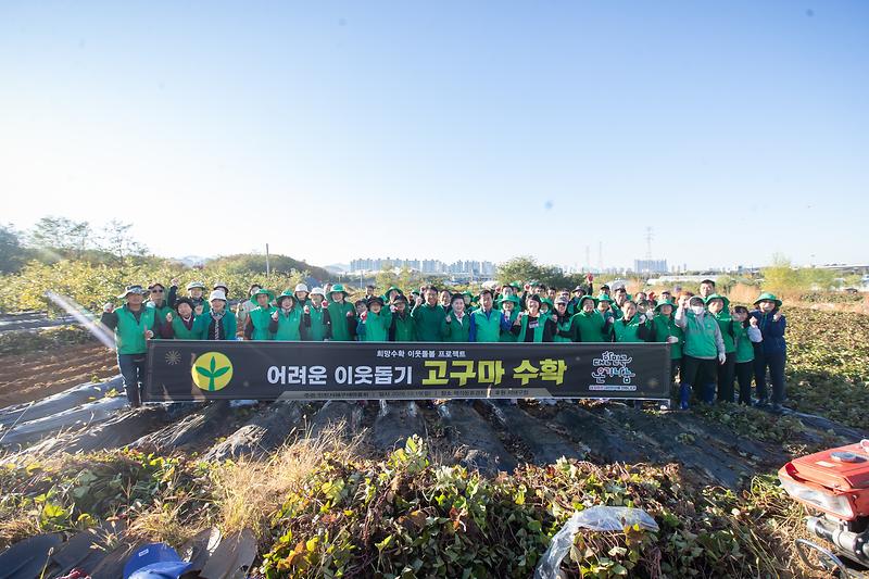 8._서해구새마을협의회,_이웃사랑_실천을_위한_휴경지_고구마_수확.jpg 이미지