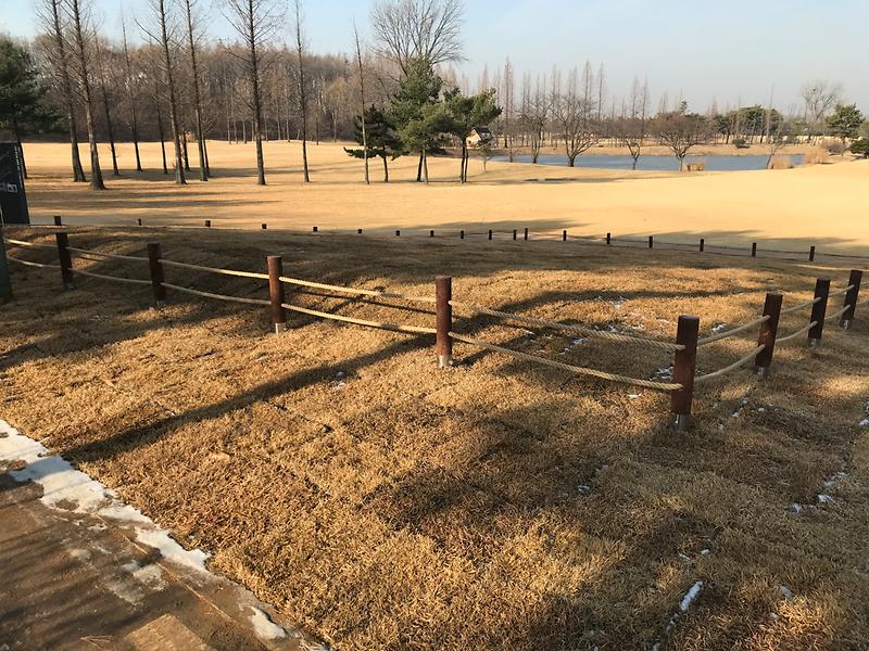 인천경서동녹청자요지 사진2