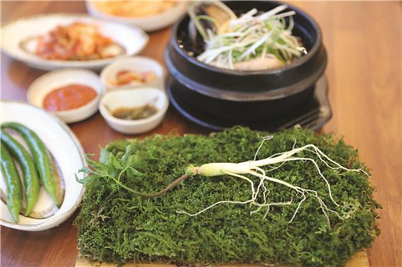초애삼계탕 사진