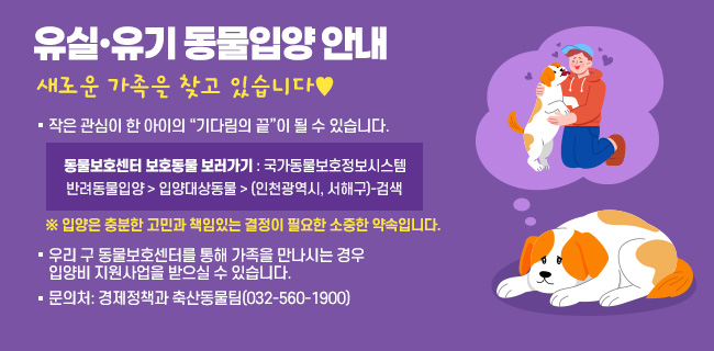 유실·유기 동물입양 안내(새로운 가족을 찾고 있습니다♥.)작은 관심이 한 아이의 “기다림의 끝”이 될 수 있습니다.☞ 동물보호센터 보호동물 보러가기 : 국가동물보호정보시스템(www.animal.go.kr)반려동물입양 입양대상동물 (인천광역시, 서해구)-검색※ 입양은 충분한 고민과 책임있는 결정이 필요한 소중한 약속입니다.우리 구 동물보호센터를 통해 가족을 만나시는 경우 입양비 지원사업을 받으실 수 있습니다.문의처: 경제정책과 축산동물팀(032-560-1900)