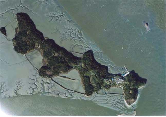 細於島 1