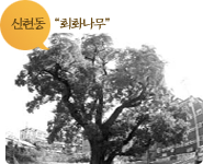 국가유산의 정의 사진